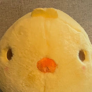 Meet your Posher, Tassja